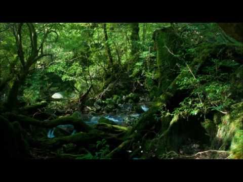 木霊　串田亨 bekijken op YouTube