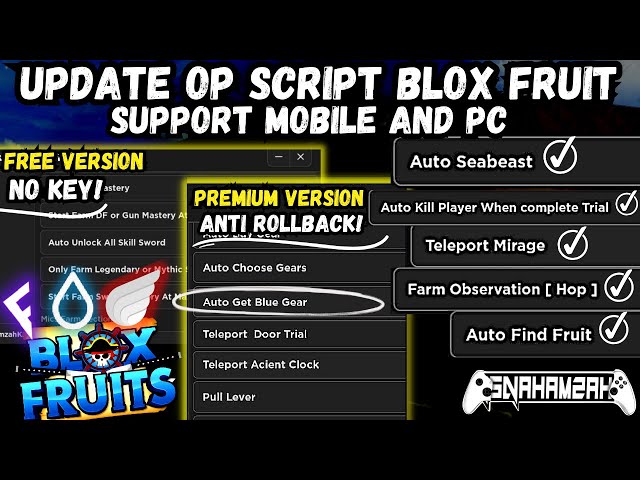 Script Leve Anti Reset & Anti Ban - Roblox - DFG