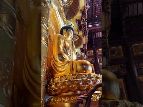 南无阿弥陀佛#travel  #正能量 #景區 #旅行#情感 # #能量療愈