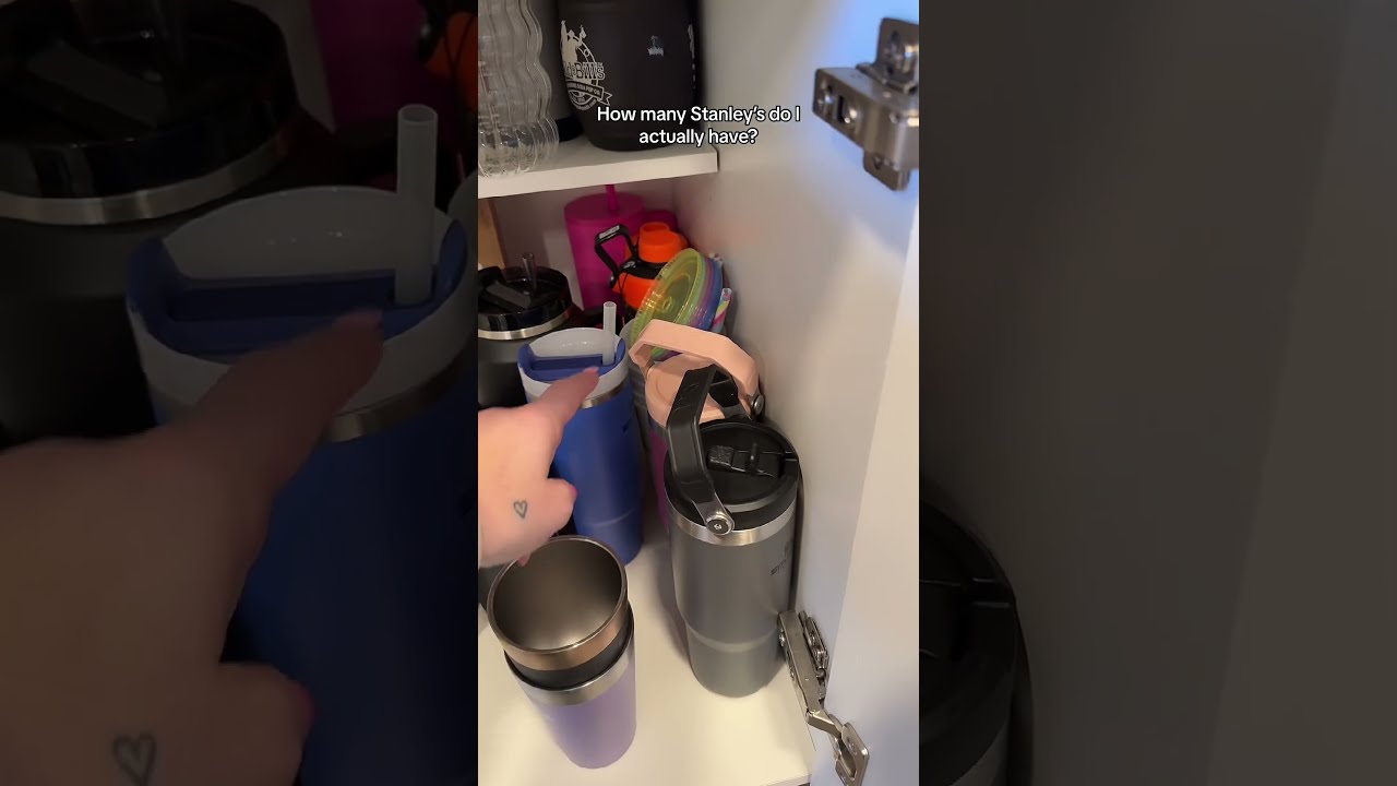 How Many Stanley S Do I Actually Have Collection Momlife Stanleycup