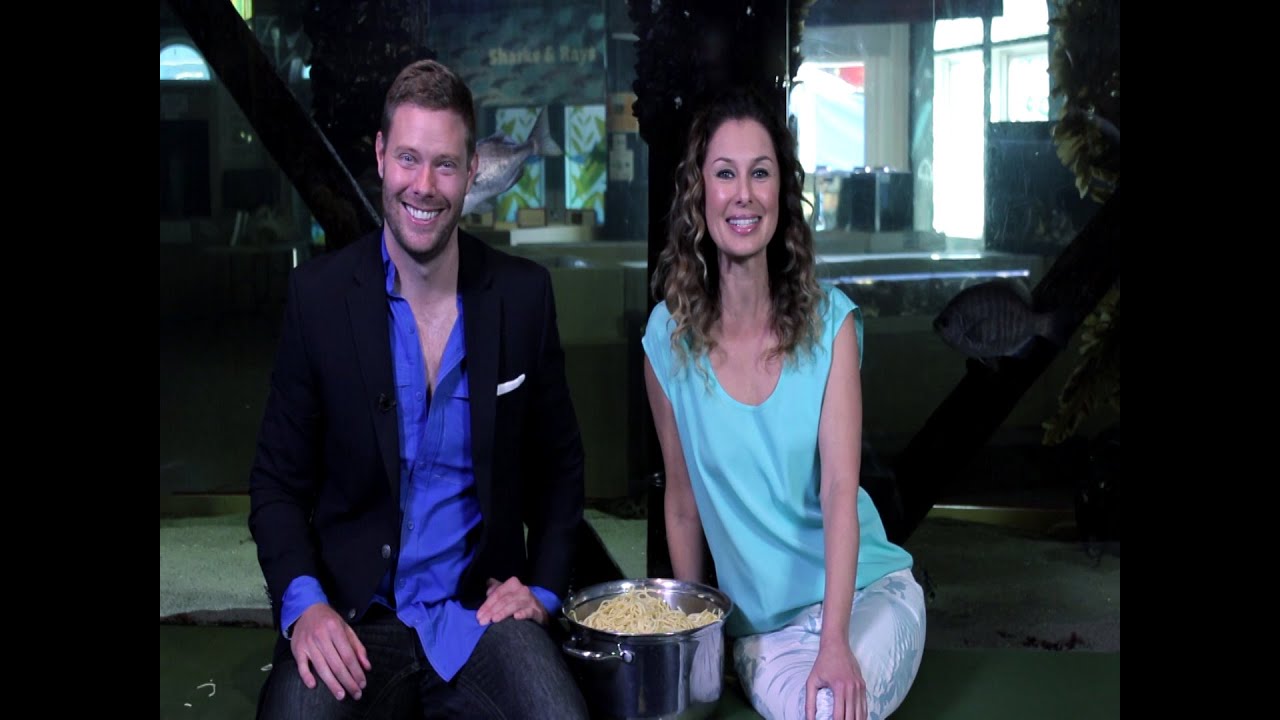 Plastic Pollution Breakdown with Dr Ryan Martin - Green with Tiffany