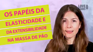 Qual a função da água na massa?