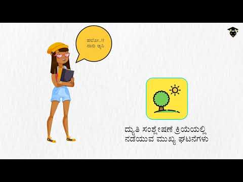 ಜೀವಕ್ರಿಯೆಗಳು - ದ್ಯುತಿಸಂಶ್ಲೇಷಣೆ ಕ್ರಿಯೆಯಲ್ಲಿ ನಡೆಯುವ ಮುಖ್ಯಘಟನೆಗಳು | ಜೀವಶಾಸ್ತ್ರ |ಸ್ಮಾರ್ಟ್ಟೆನ್ |  SmarTEN - video from Clearly Blue