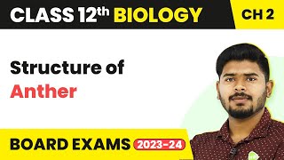 Structure of Anther - Sexual Reproduction in Flowering Plants | Class 12 Biology (2022-23)