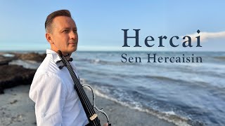 Hercai Müzikleri - Sen Hercaisin | Keman | Violin Cover by Alvio