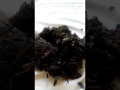 Мятный чай. Как