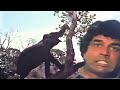   dharmendra        dharmendra best scene  maa 1976  best movie scene