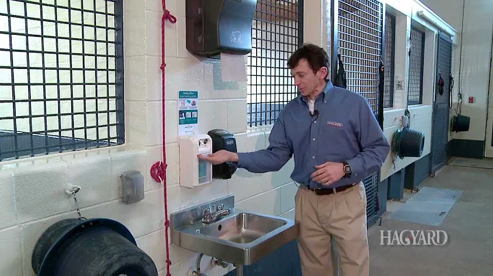 Hand Washing Best Practices: Hagyard Equine Medica...