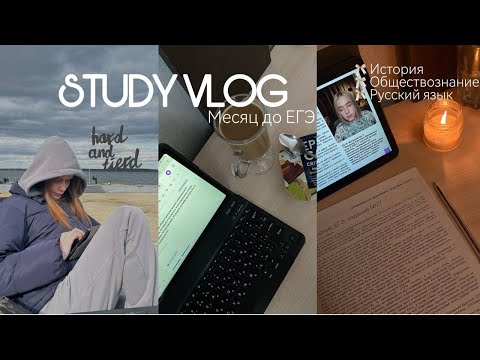 Видео: study vlog🤍месяц до экзаменов📖