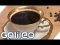 Wie viel Kaffee ist gesund? Das Selbstexperiment | Galileo | ProSieben