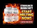 CitrusBurn Review – Benefits and Ingredients Explained