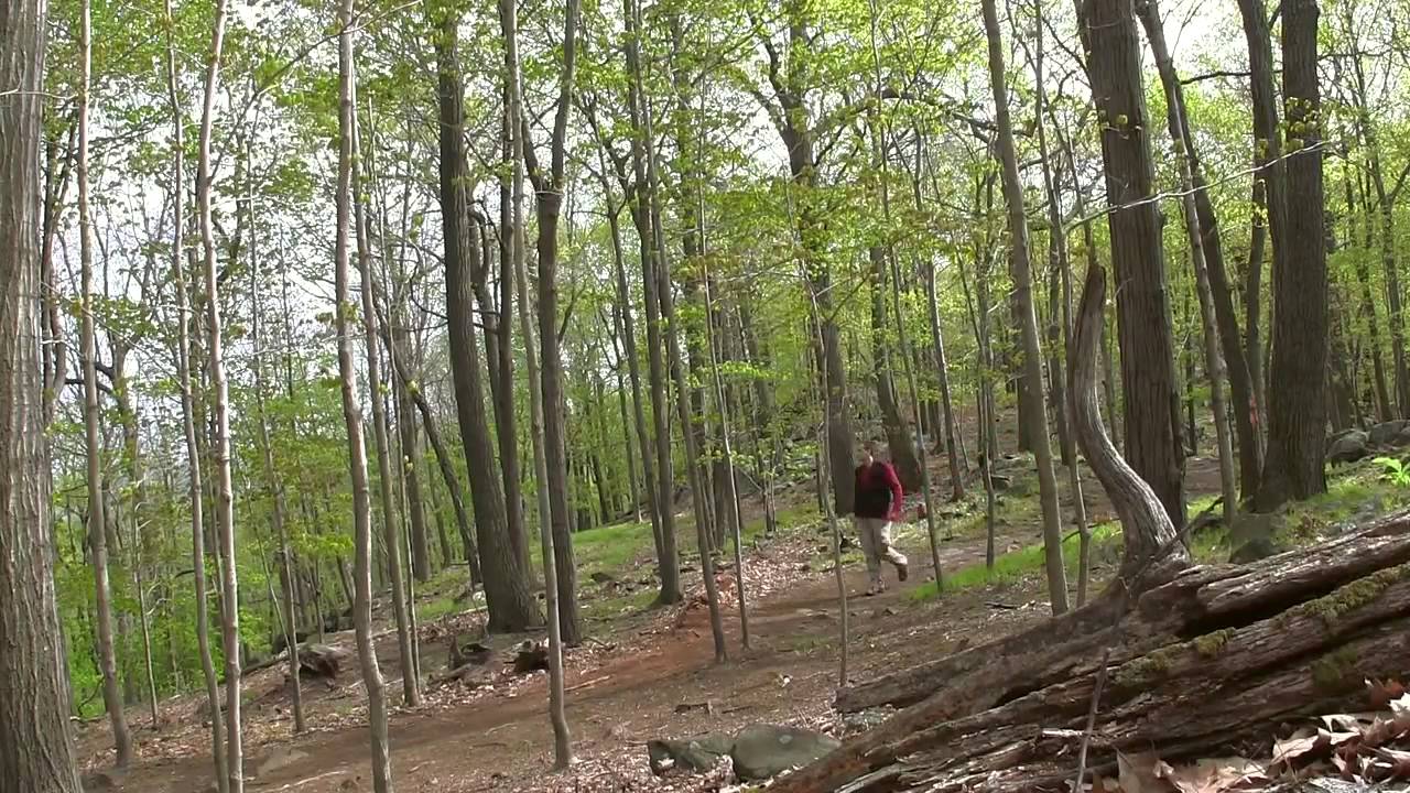 Turkey Hill Mt Kisco, NY 1 hour hike YouTube