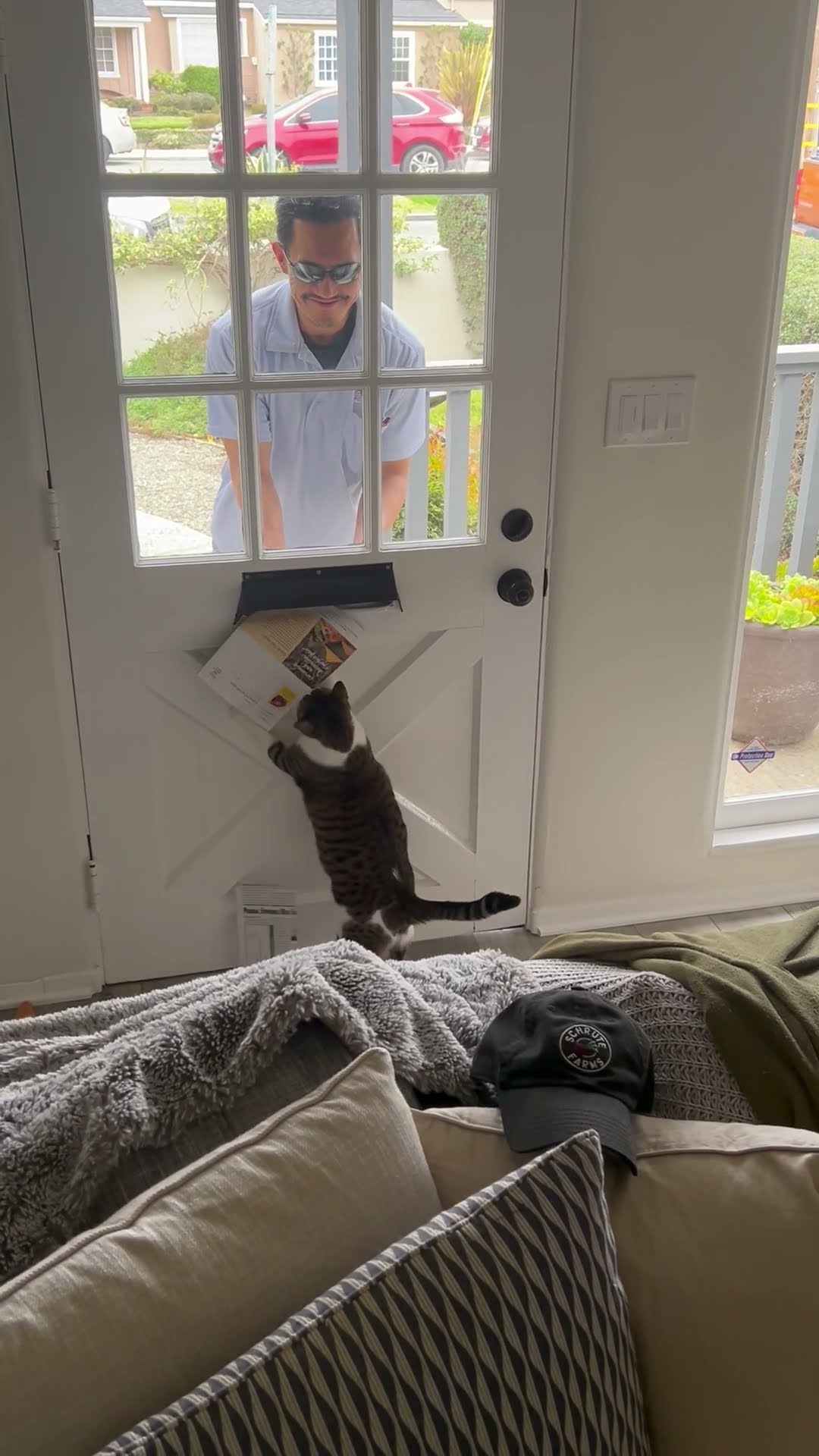 Cat Eager To Get Mail || ViralHog