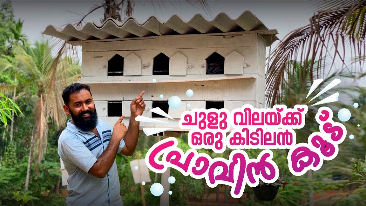 ചുളു വിലയ്ക്ക് ഒരു കിടിലൻ പ്രാവിൻ കൂട്..Pigeon Cage.Pigeon Cage Making