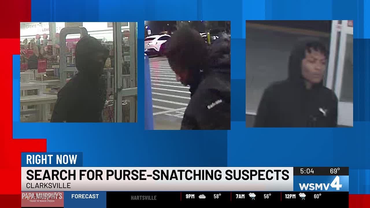 Clarksville police searching for purse-snatching suspects - YouTube