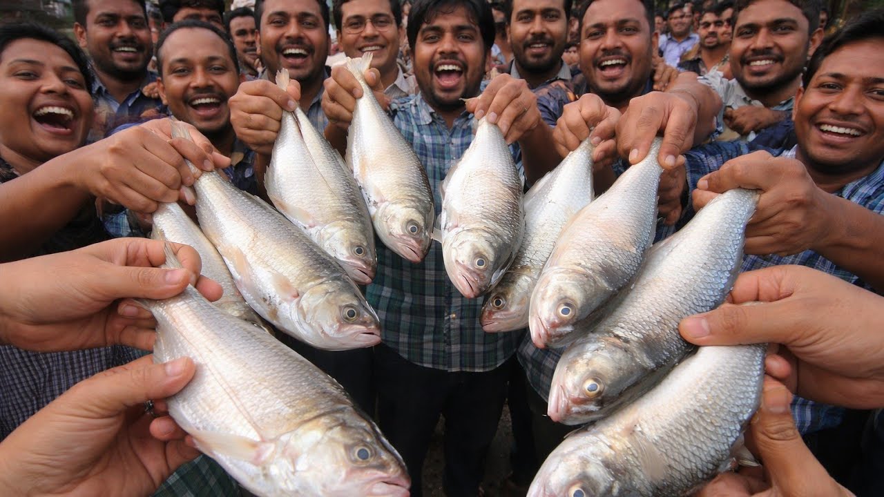 ১৪/০১/২০২৬ পদ্মার ইলিশ আজকের বাজার দর মাওয়া ঘাট padma river fish hilsa price today fish market mawa