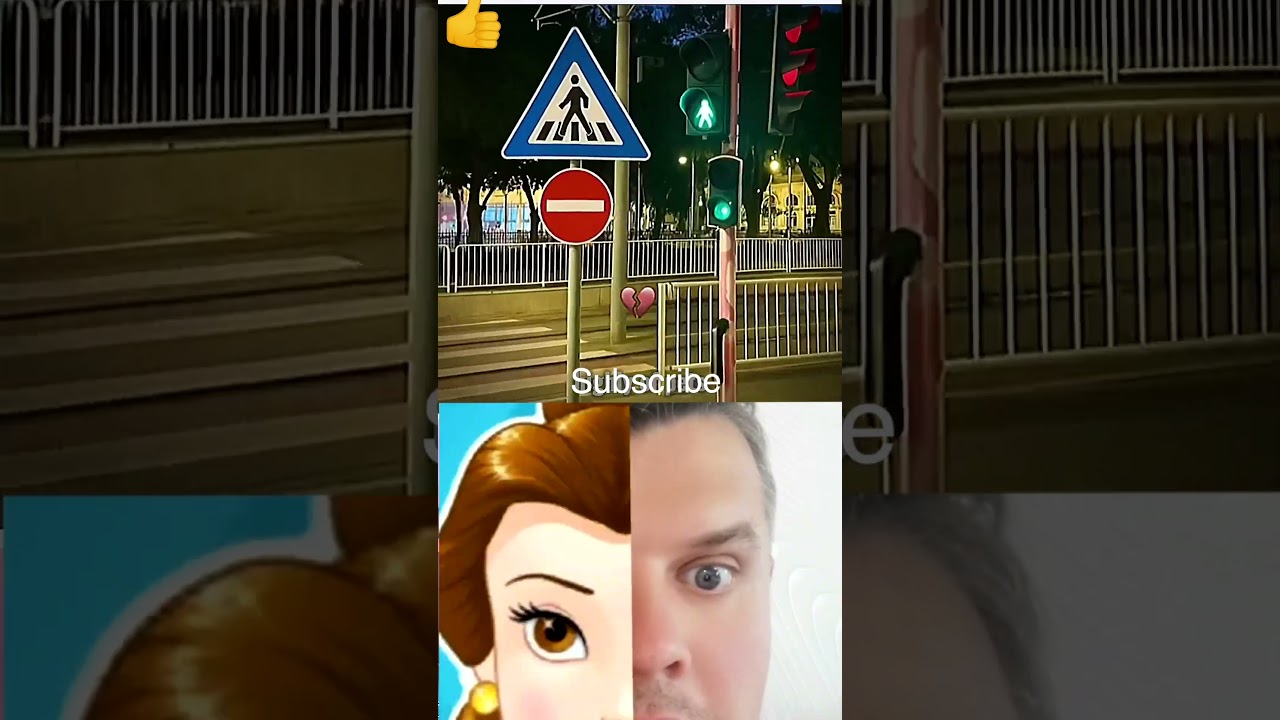 we cross the pedestrian crossing correctly 😂 