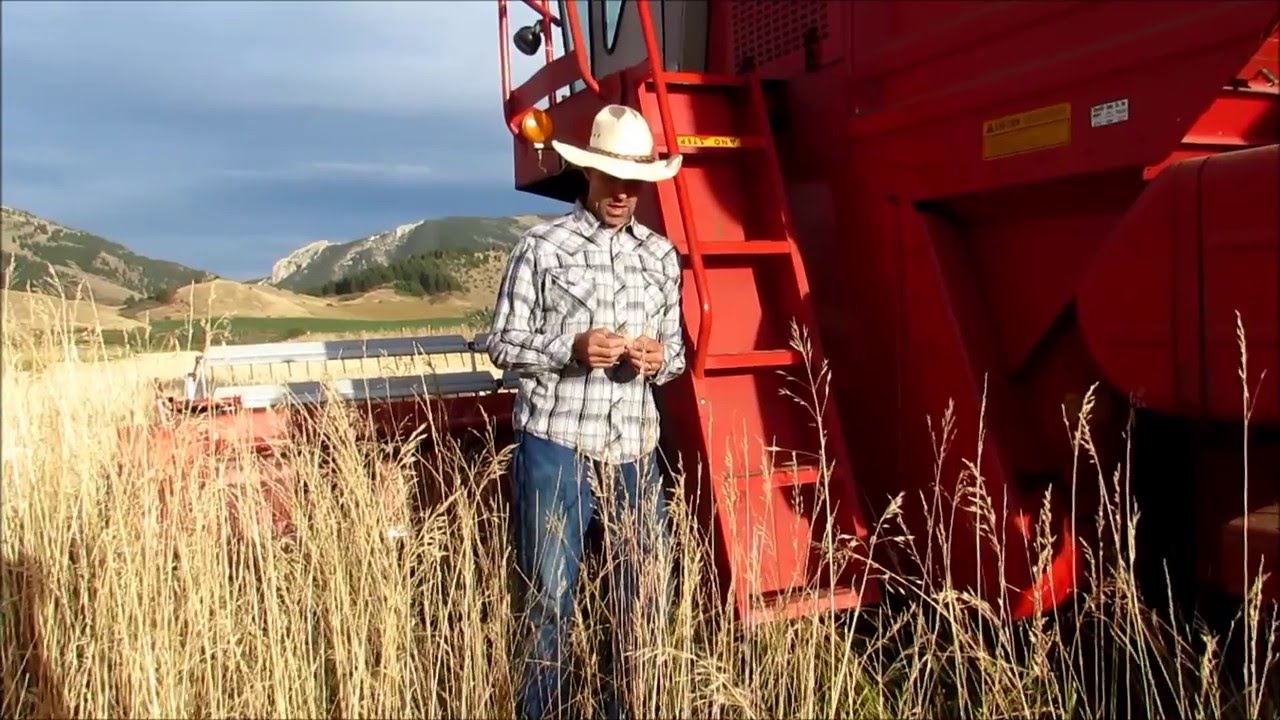 Rickthescienceguy  Not all proteins are created equal