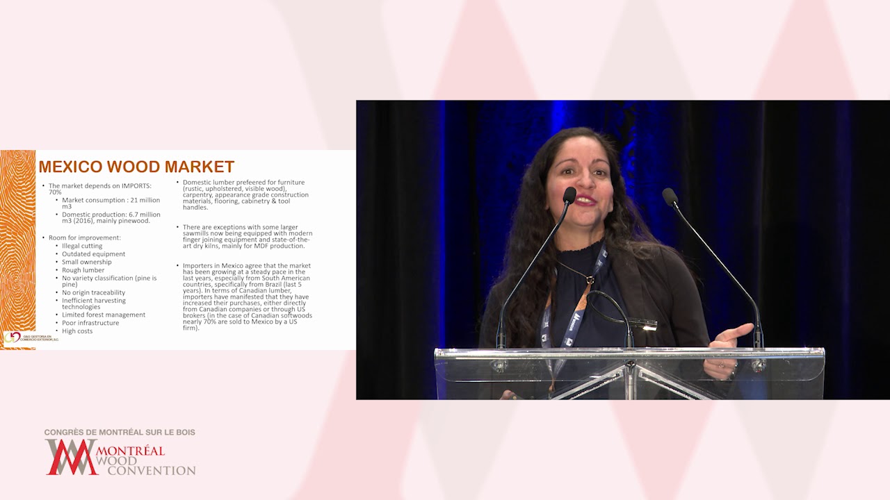 Nora Gonzales, CEO, G&G Gestoria en Commercio Exterior YouTube