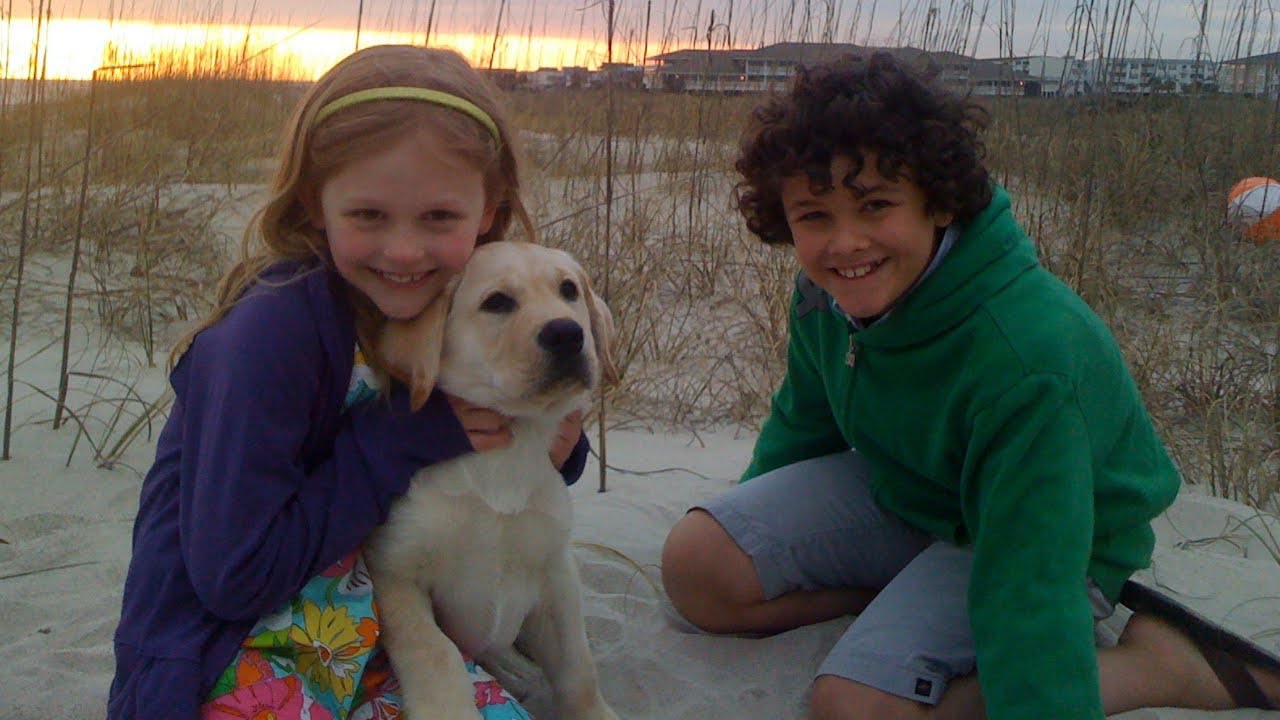 Emily Thorne Jack Porter & dog Sammy