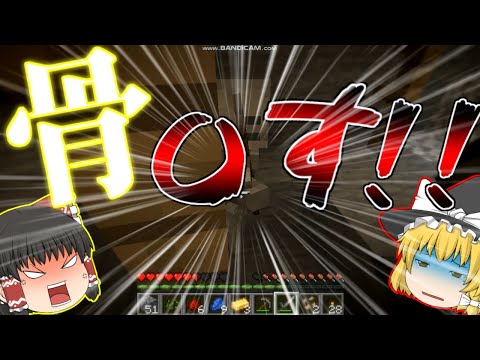 【ゆっくり実況】オイ骨！全てお前のせいなんだよ！！【毎日一分マインクラフト】