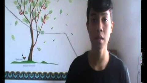 Foreign Language 2 - Final Project - Unwanted Pregnancy