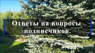 Ответы на вопросы подписчиков.. Питомник растений Е. Иващенко