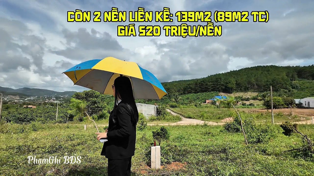 ĐẤT NAM BAN VIEW ĐỒI THÔNG | GIÁ CHỈ 520 TRIỆU/NỀN – CÒN 2 LÔ CUỐI CÙNG