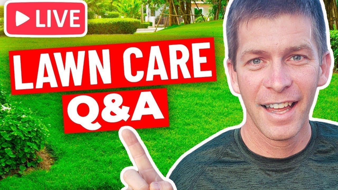 Lawn Care Question and Answer With Jason Creel