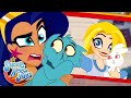 Animal Encounters! 🐾 | DC Super Hero Girls