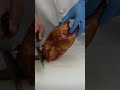 皮がパリパリの鶏(脆皮鶏)という料理 #中国料理 #料理 #cooking #脆皮鶏