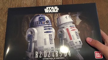 R2 D2 and R5 D4 Unboxing