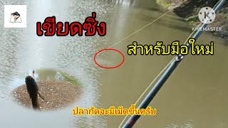 🐟EP16แนะนำสำหรับมือใหม่ที่อยากตกเขียดซิ่งมือใหม่ต้องดู🐸{fishing boy channel}🧒