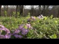 Spring in Sinemorets, South East Bulgaria