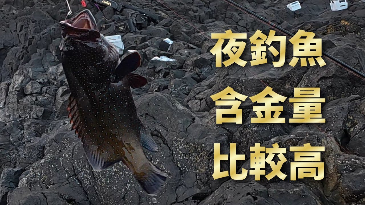 夏天夜釣的魚比較高級 而且不必曬太陽 我覺得釣組這樣綁比較有機會 大家都用什麼釣組研究一下