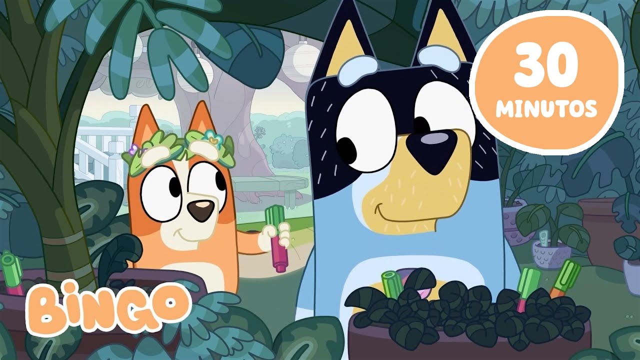 El padre de Bingo, Momentos Bandidos 💙 | Bingo - Español Canal Oficial