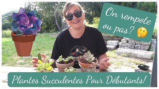 🌵7 #conseils après l'achat d'une #plantesucculente en #jardinerie | On rempote? | POUR #débutant