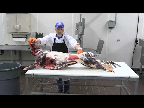 Deer Processing Demonstration - Dr. Gregg Rentfrow