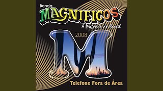 Video thumbnail of "Banda Magníficos - Telefone Fora de Área"