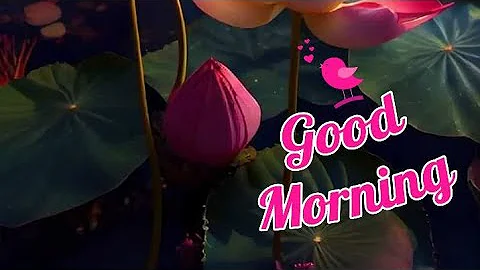 Good Morning//Good Morning wishes//Beautiful Images.pls Subscribe @smilingthulasi3686 - DayDayNews