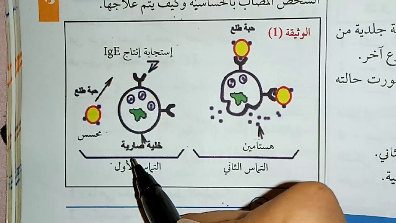 سلسلة تمارين حول الحساسية -تمرين 2- مع استاذة العلوم مخربش صبرين