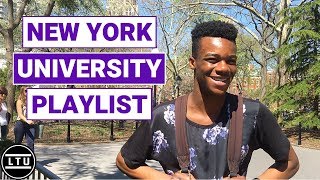 What is NYU Listening To? - The Playlist Challenge - LTU