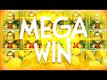 WINS OF THE WEEK CASINO/BIG WIN #5 - YouTube