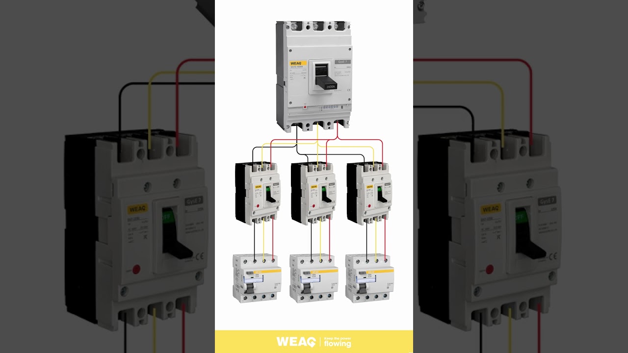 MCCB to RCCB & MCB Wiring Diagram – Step by Step Tutorial.