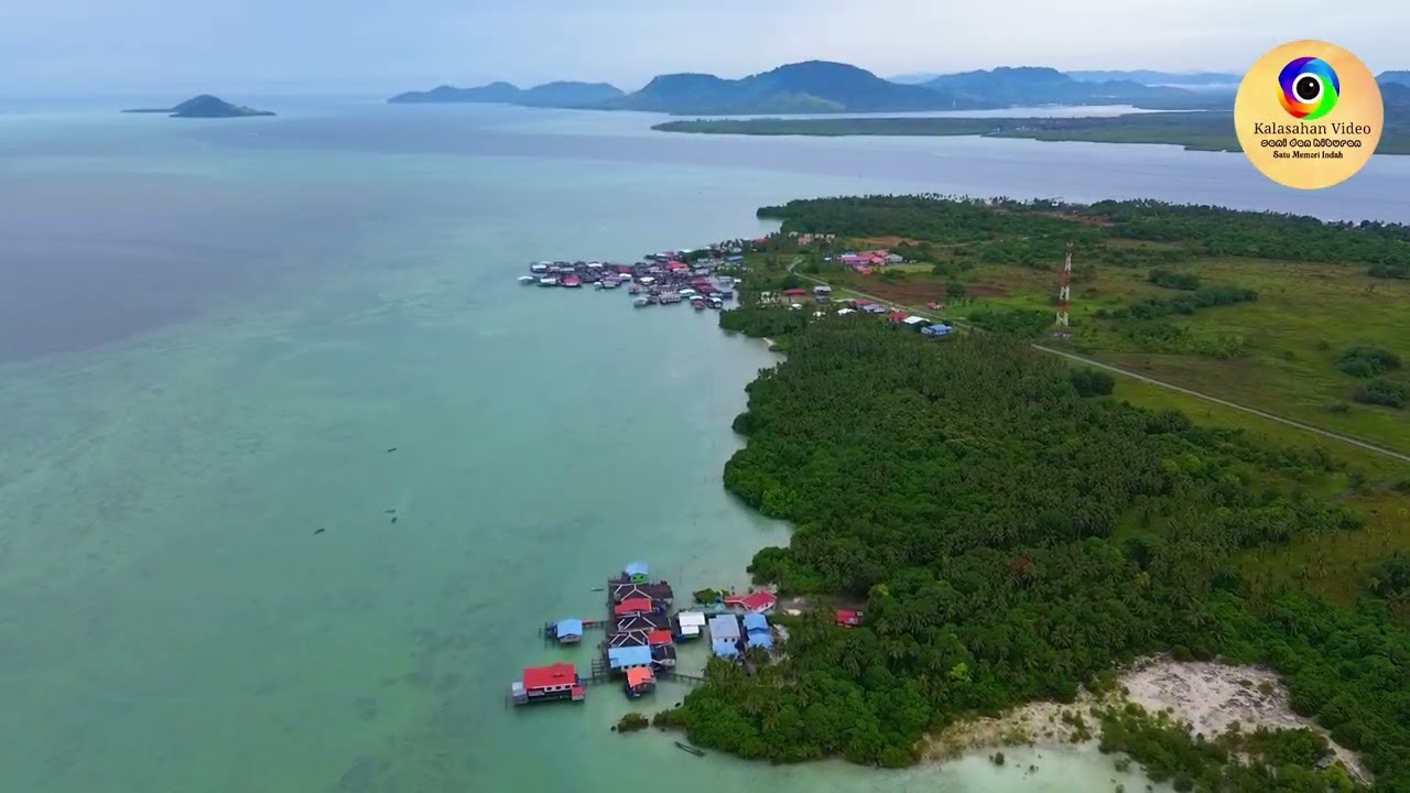 Along AIG ft Kisang ( ENTOM KALASAHAN ) #lagubajau #lagubajauterbaru 