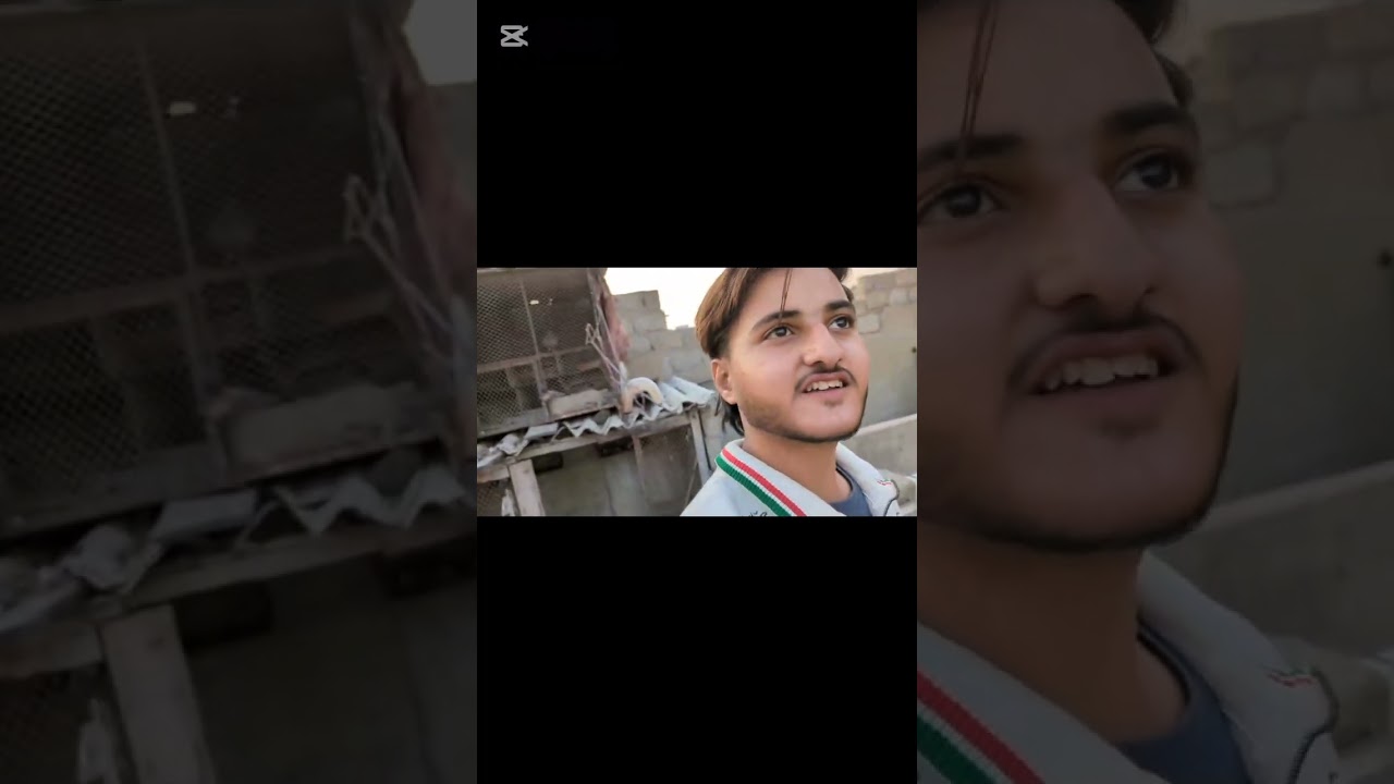 My New vlog kite flying around the house  lose the kite