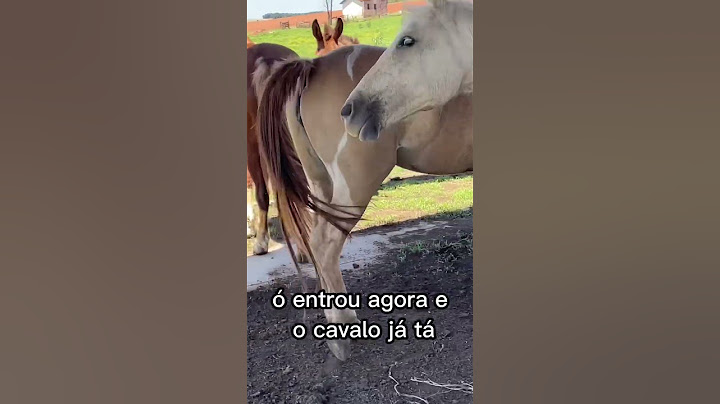 Égua no cio e cavalo manga larga