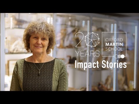 20th Anniversary Oxford Martin School Impact Story: Professor E.J. Milner-Gulland, Wildlife Trade