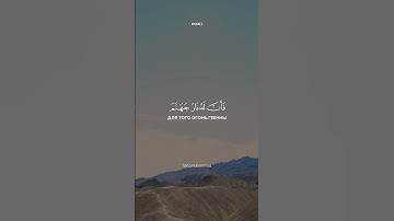 09 surah at-Tawbah verse 63  Tareq Mohammad | сура ат-Тауба | Покаяние | سورة التوبة