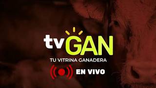 TU VITRINA GANADERA EN VIVO 08/04/2026